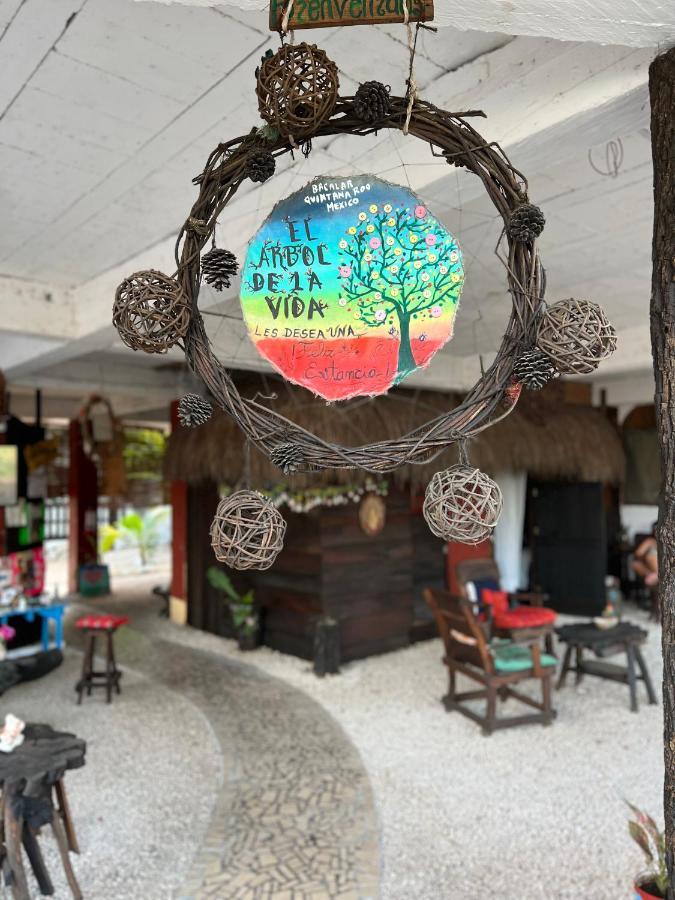 Near Lake Hostal 巴卡拉尔 外观 照片